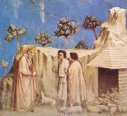 Joachim Takes Refuge in the Wilderness (mk08) GIOTTO di Bondone